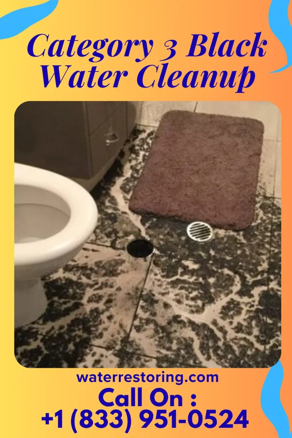 Category 3 Black Water Cleanup in Rockford Bay, ID