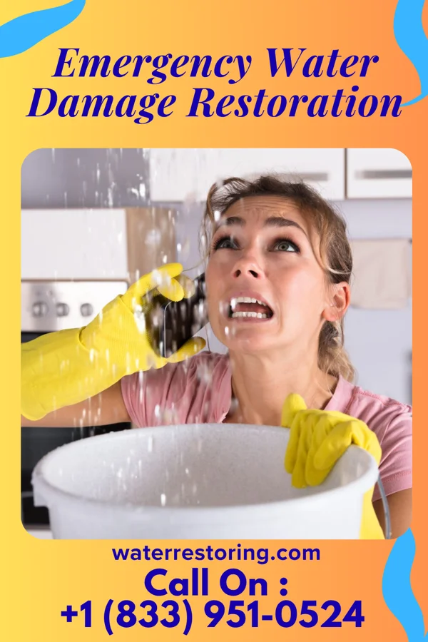 Emergency Water Damage Restoration in Rockford Bay, ID