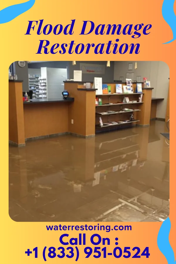 Flood Damage Restoration in Rockford Bay, ID