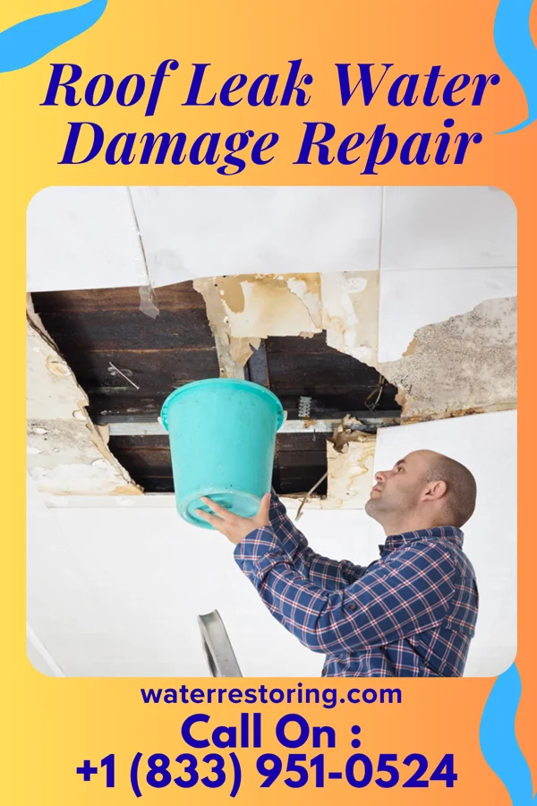 Roof Leak Water Damage Repair in Rockford Bay, ID