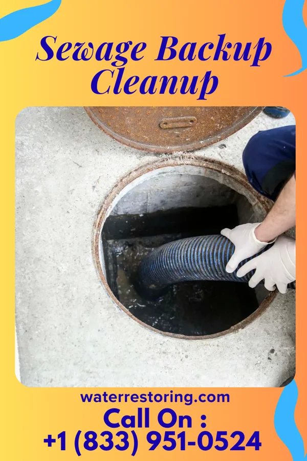 Sewage Backup Cleanup in Rockford Bay, ID