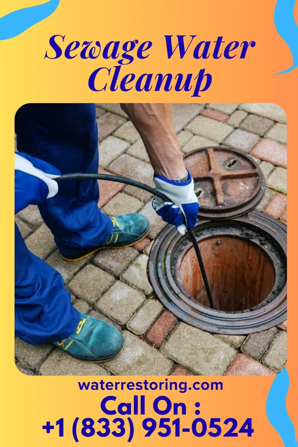 Sewage Water Cleanup in Rockford Bay, ID